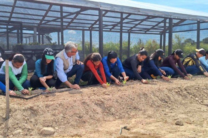 A unidade demonstrativa de Sikamabiu é a primeira de uma série de 8 unidades a serem distribuídas pelo território ainda neste ano
 -  (crédito: Divulgação/Funai)