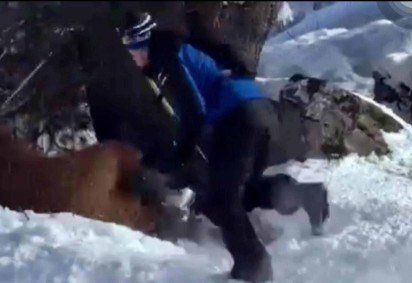 Caso registrado ganhou repercussão nas redes sociais e é investigado pela polícia francesa -  (crédito: Reprodução/X/HugoGloss) -Caso registrado ganhou repercussão nas redes sociais e é investigado pela polícia francesa -  (crédito: Reprodução/X/HugoGloss)