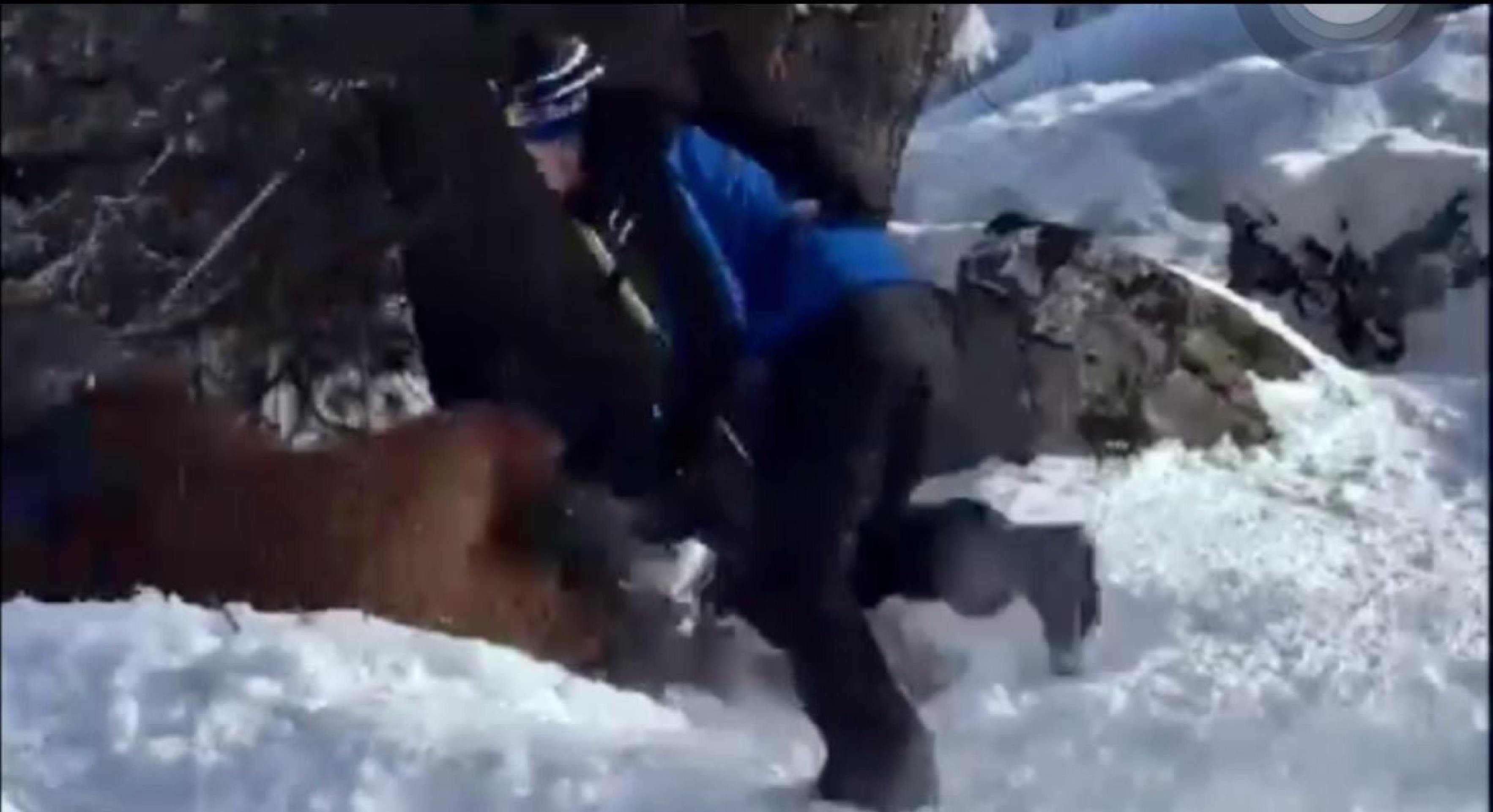 Fantasiado de Chewbacca, brasileiro é espancado em estação de esqui