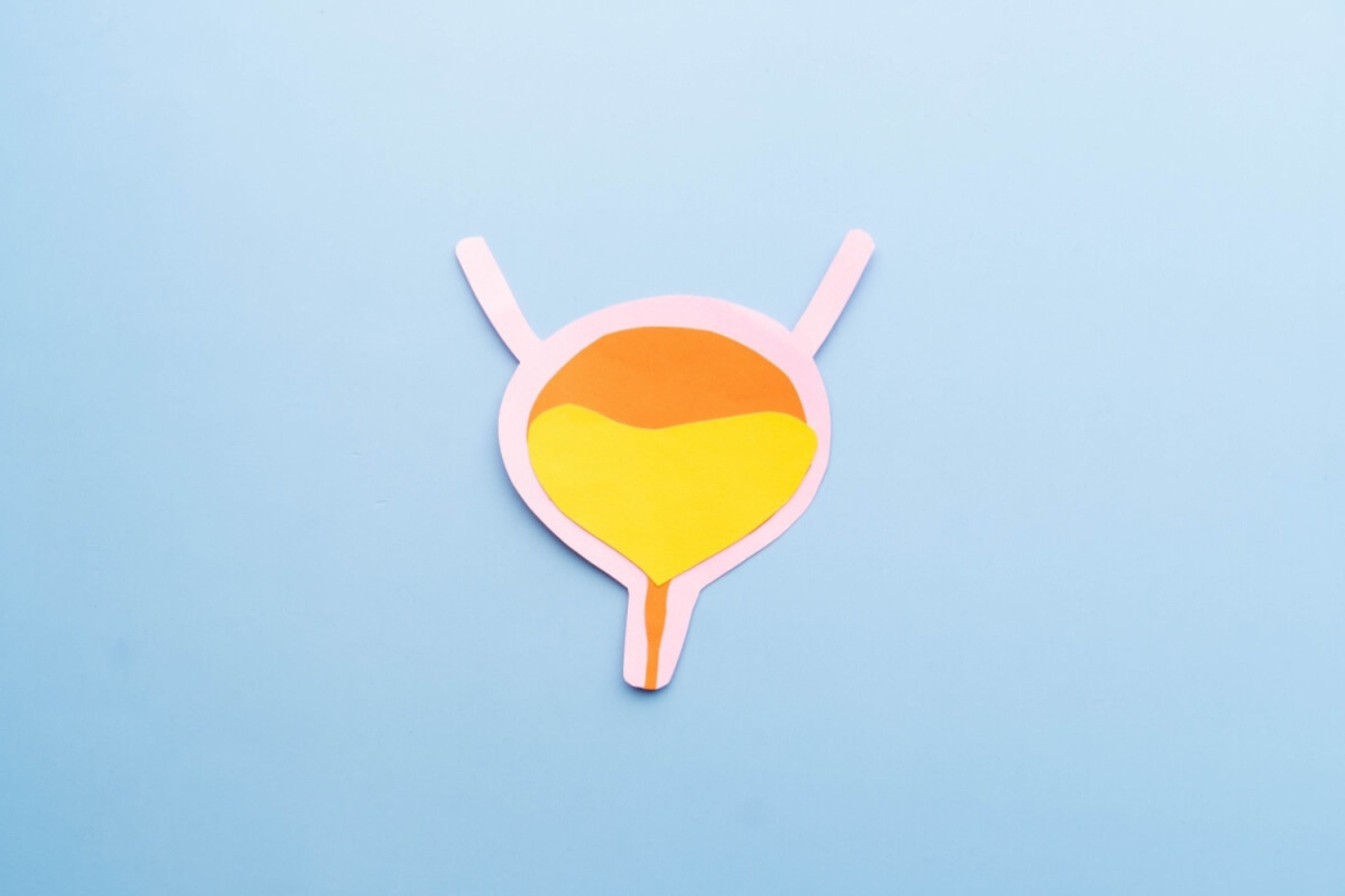 Cistite na menopausa: entenda condição que fez Solange Couto passar mal no BBB 26