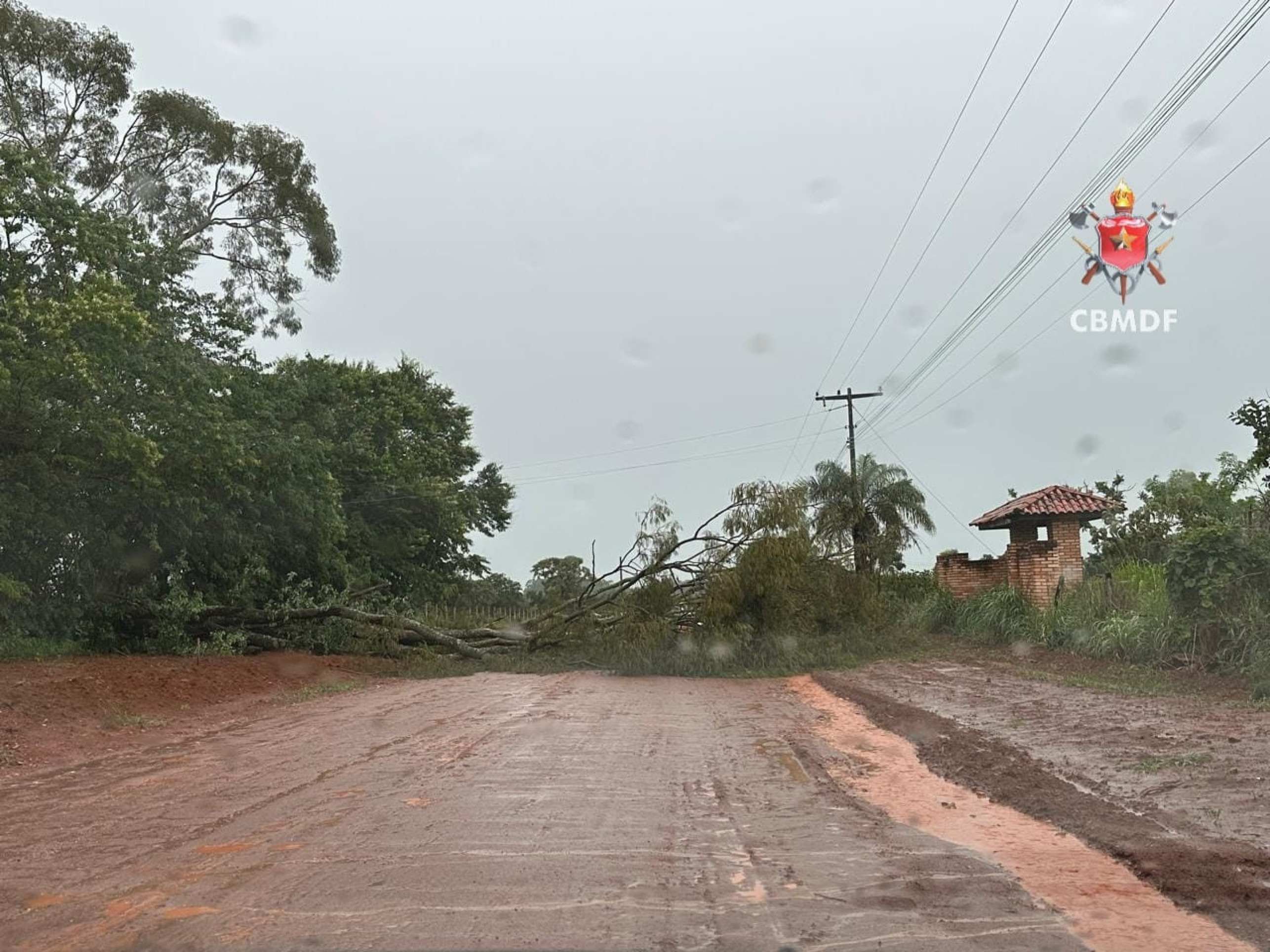 Uma &aacute;rvore caiu em via p&uacute;blica, impedindo a passagem de carros em Sobradinho