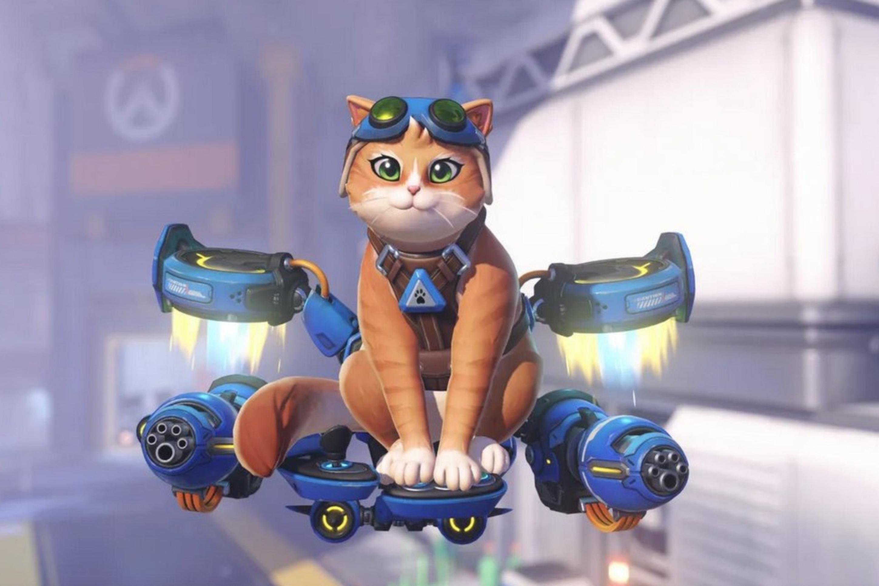 Novo personagem de suporte, o gato, Jetpack Cat