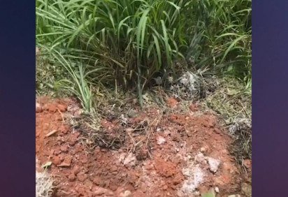 Corpo de um filho do agressor, morto no &uacute;ltimo m&ecirc;s de dezembro, estava enterrado no quintal -  (crédito: TV Alterosa/Reprodu&ccedil;&atilde;o)