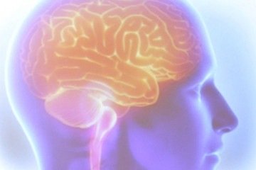 <p>A demência frontotemporal (DFT) é uma doença neurodegenerativa que afeta regiões do cérebro e provoca perda progressiva de funções do órgão.</p>
 -  (crédito: Tânia Rêgo/Agência Brasil)
