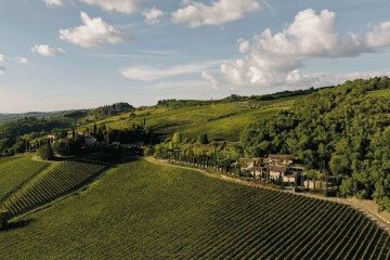 Especialistas em comércio exterior avaliam que a tarifa de importação dos vinhos europeus, atualmente em 27%, deve ser reduzida gradualmente e ampliará a concorrência -  (crédito: Divulgação)