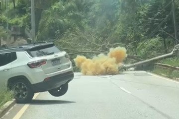 Árvore levou três postes de energia; um deles caiu sobre um veículo -  (crédito: Reprodução)