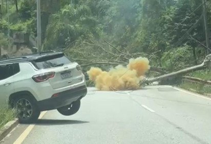 Árvore levou três postes de energia; um deles caiu sobre um veículo -  (crédito: Reprodução)