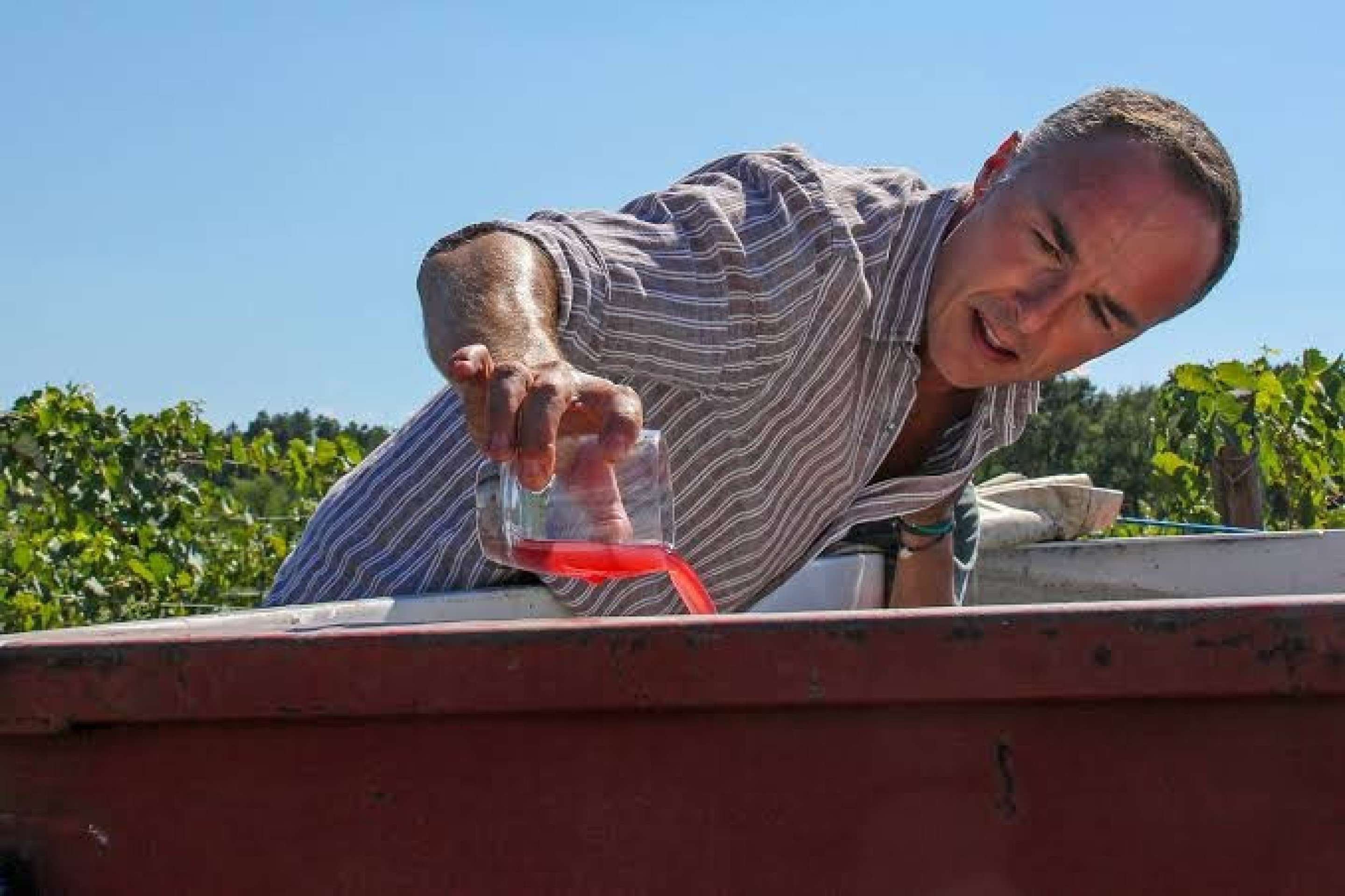 Piergiorgio Castellani, CEO da vin&iacute;cola italiana Castellani