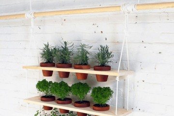 Pequenos vasos são soluções praticas