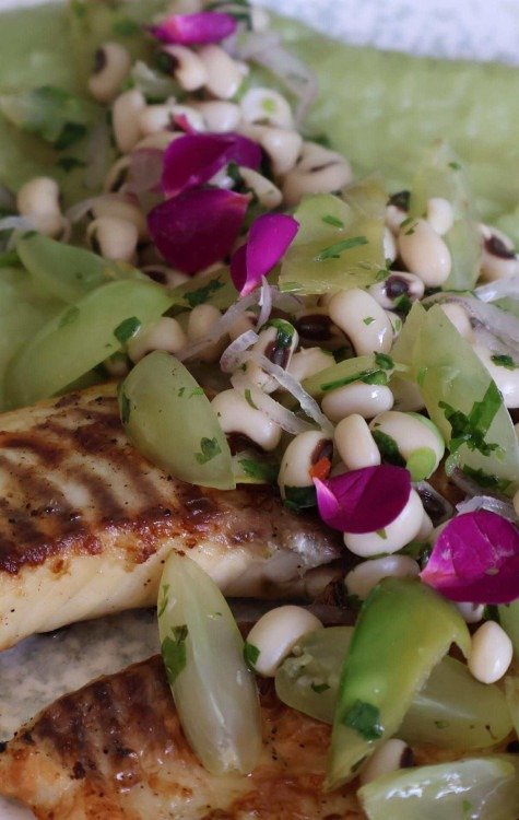 Restaurante The Plant, Asa Sul -  (crédito:  Bruna Gaston  CB/DA Press)