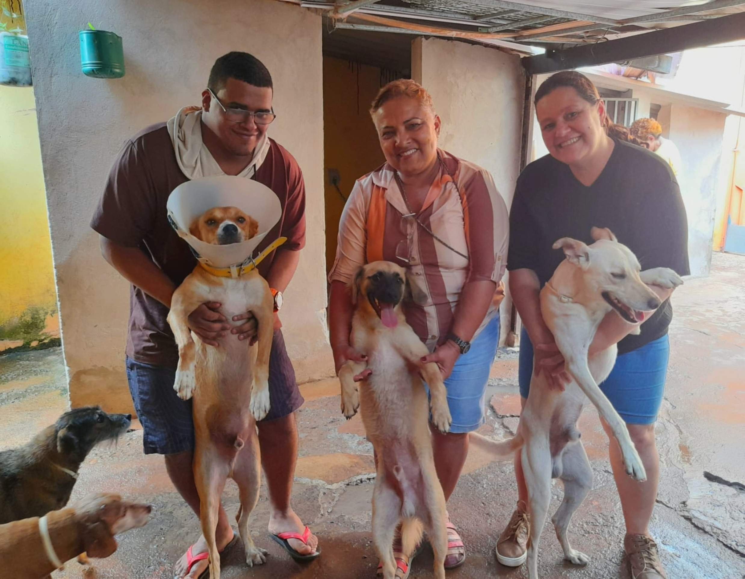 Caramel&atilde;o, Lupi e Costelinha com tutores do HRP