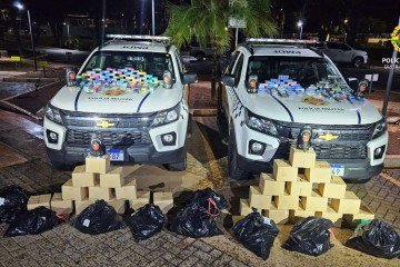 PMDF apreende carregamento de R$150 mil em cigarros eletrônicos
 -  (crédito: PMDF/Divulgação)