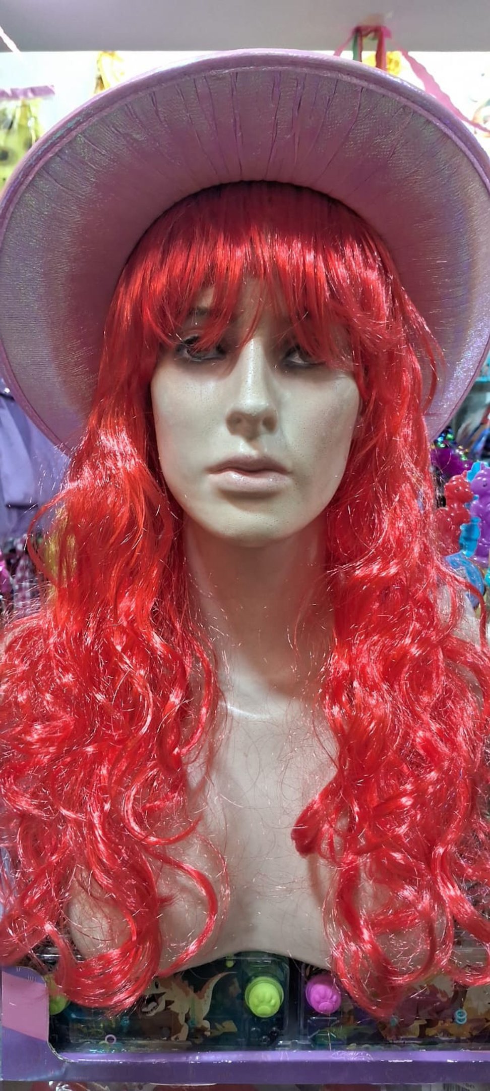 Boiadeira ruiva &eacute; op&ccedil;&atilde;o simples 