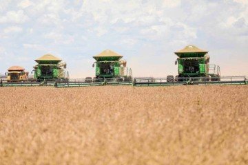 Soja no Brasil: expansão de área e ganhos de produtividade, mas queda no preço dos grãos  -  (crédito: Emater-DF)