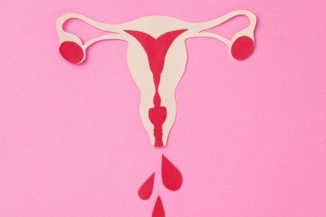 Imagem ilustrativa do útero; combinação entre sangramento intenso e dieta restritiva pode favorecer ferro baixo. -  (crédito: Reprodução/Canva)