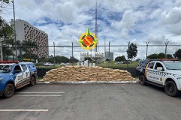 Operação apreende três toneladas de agrotóxicos contrabandeados da China -  (crédito: PMDF/Divulgação)