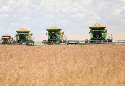 O estudo projeta que a combinação de calor, seca e alta de CO2 pode reduzir as proteínas do grão em 6% e o amido em 20% -  (crédito: Emater-DF) -O estudo projeta que a combinação de calor, seca e alta de CO2 pode reduzir as proteínas do grão em 6% e o amido em 20% -  (crédito: Emater-DF)