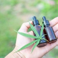 Muitos produtos são autorizados pela Anvisa, mas não possuem registro de medicamento, e só podem ser acessados por decisões judiciais -  (crédito: Reprodução/Freepik)
