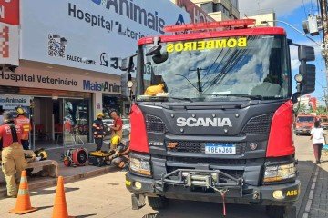 Além de extinguir o incêndio, os bombeiros resgataram 18 animais domésticos. - (crédito: Divulgação/CBMDF) Além de extinguir o incêndio, os bombeiros resgataram 18 animais domésticos. - (crédito: Divulgação/CBMDF)