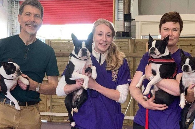 Participantes da raça boston terrier com os autores do estudo (E-D): David Sargan, Fran Tomlinson e Jane Ladlow, de Cambridge - (crédito: Fran Tomlinson/Divulgação ) Participantes da raça boston terrier com os autores do estudo (E-D): David Sargan, Fran Tomlinson e Jane Ladlow, de Cambridge - (crédito: Fran Tomlinson/Divulgação )