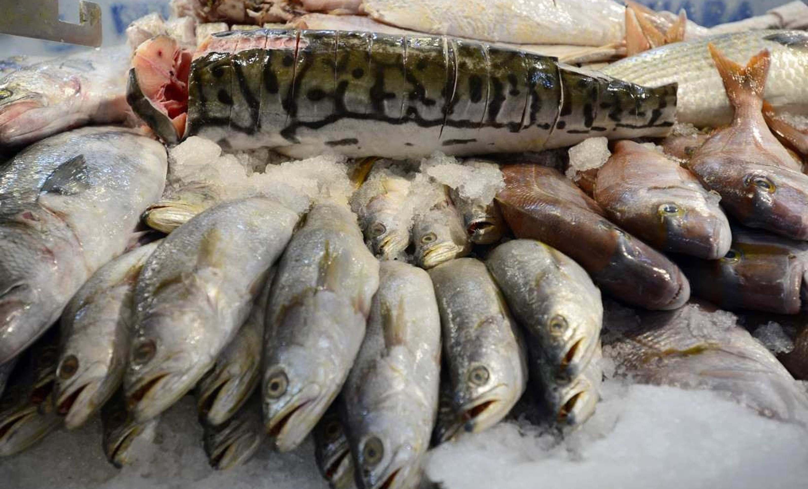 Comércio do DF aposta em alta na venda de pescados na Semana Santa