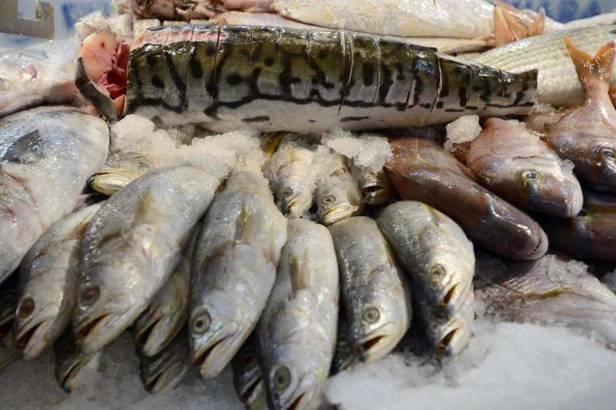 Comércio do DF aposta em alta na venda de pescados na Semana Santa - 