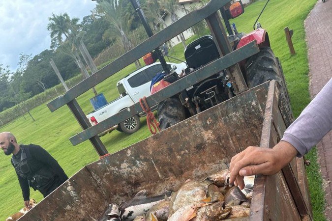 Pulverização aérea mata toneladas de peixes em Padre Bernardo
