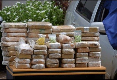 Droga foi apreendida em imóvel de Ceilândia -  (crédito: PF-PMDF/Divulgação) -Droga foi apreendida em imóvel de Ceilândia -  (crédito: PF-PMDF/Divulgação)