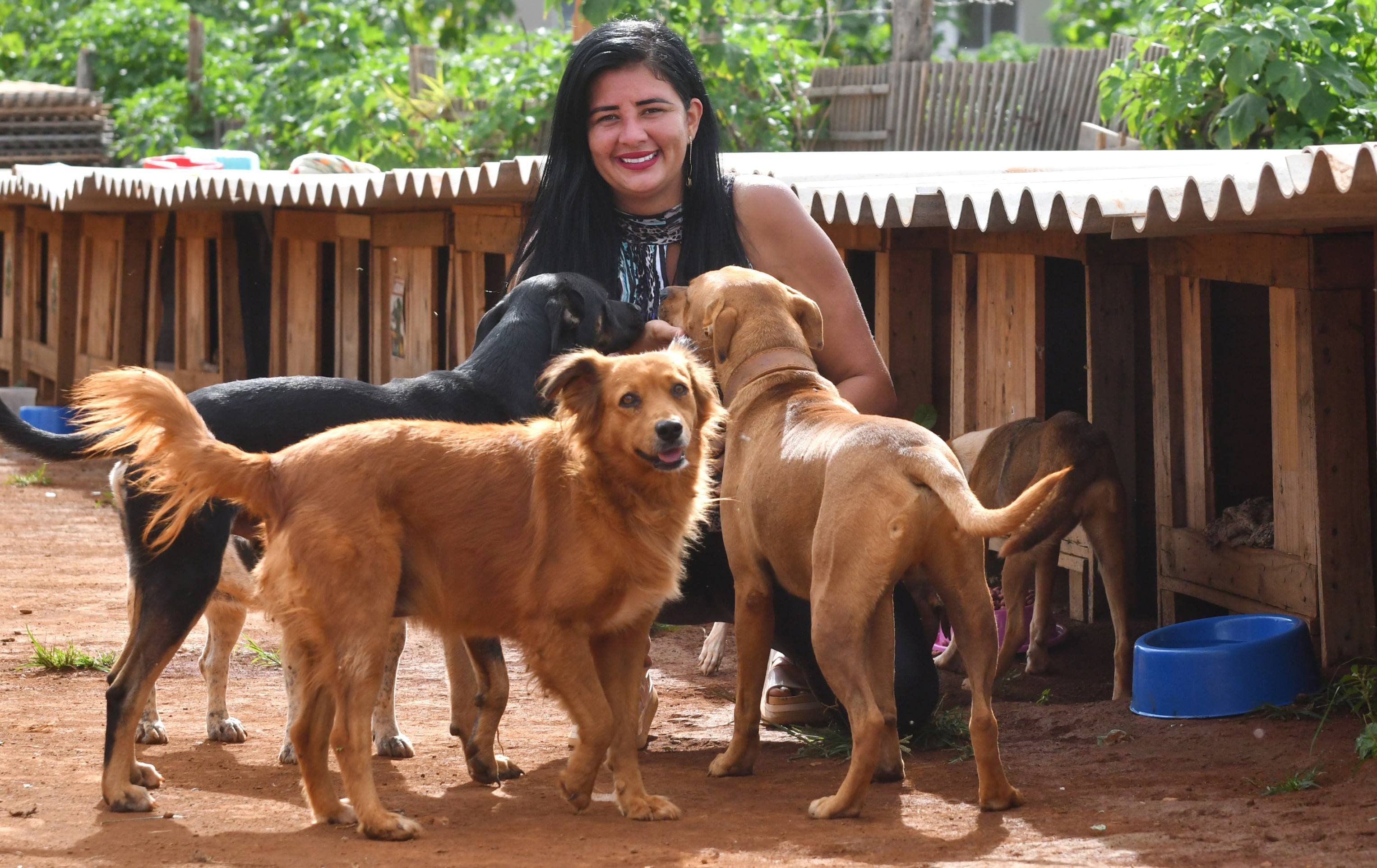Amanda Martins &eacute; respons&aacute;vel pelo projeto Doguitos do Mato, em Sol Nascente