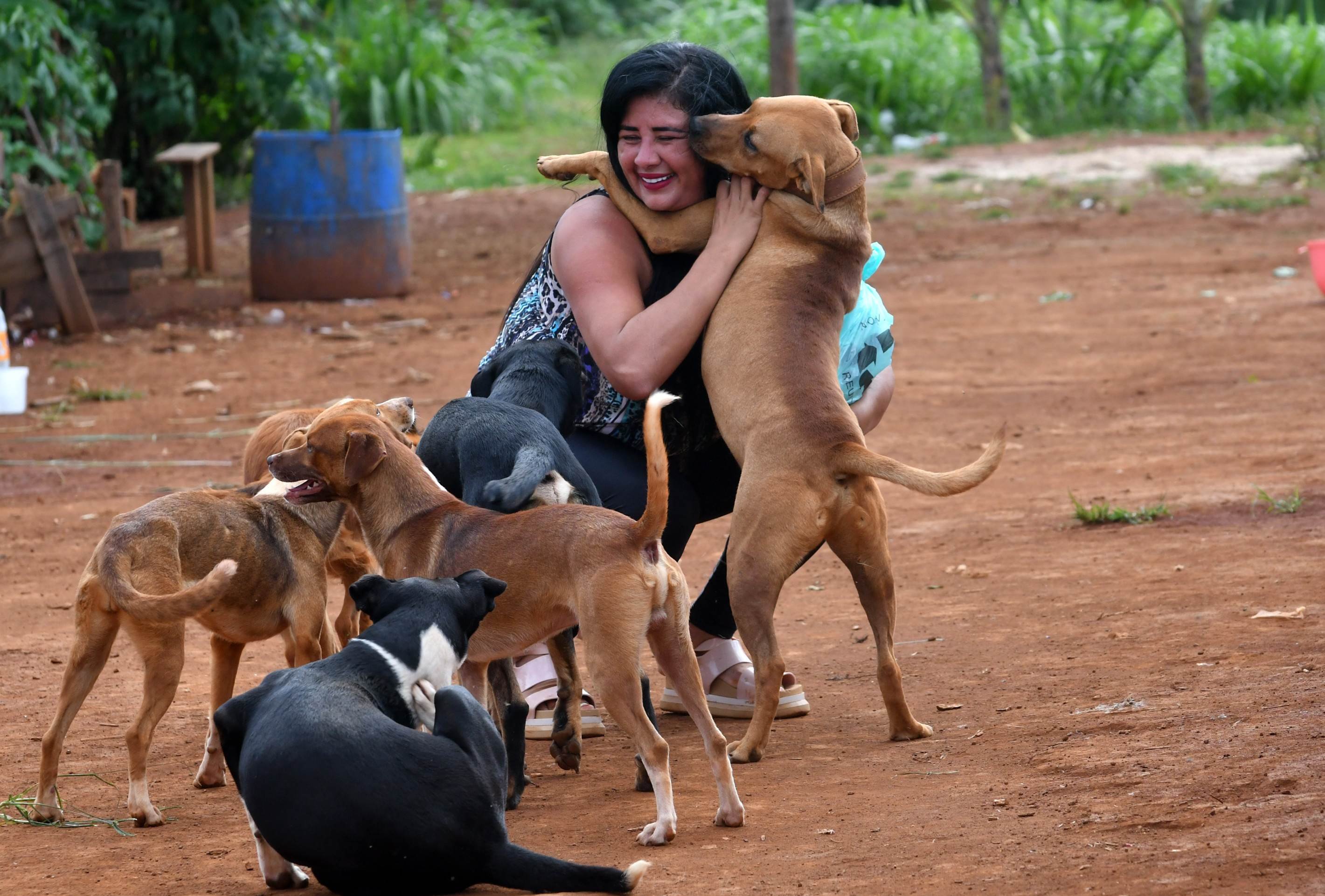 Amanda Martins &eacute; respons&aacute;vel pelo projeto Doguitos do Mato, em Sol Nascente