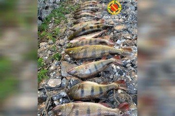 Homens s&atilde;o presos por pesca ilegal embaixo da Ponte Costa e Silva  -  (crédito: PDMF/Divulgação)
