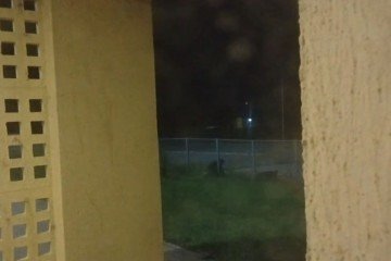 Homem é preso pela terceira vez em uma semana por furto de cabos
- (crédito: PMDF/Divulgação) Homem é preso pela terceira vez em uma semana por furto de cabos
- (crédito: PMDF/Divulgação)