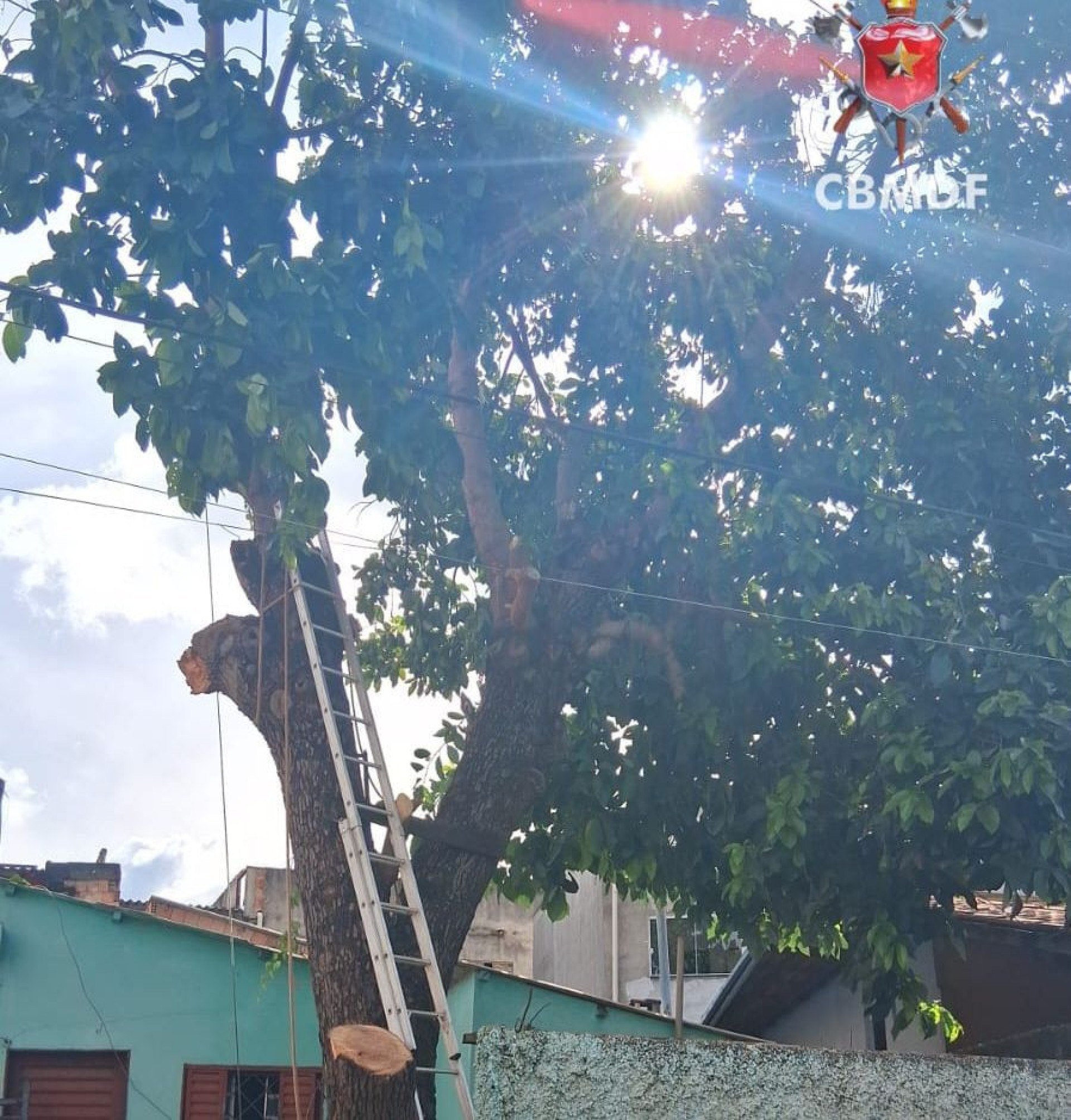 Homem morre após sofrer choque elétrico e cair de uma altura de seis metros