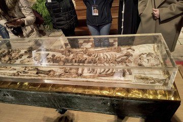 restos mortais de São Francisco de Assis expostos em uma vitrine dentro da Basílica de São Francisco de Assis durante uma prévia para a imprensa, em Assis, em 21 de fevereiro de 2026. A exposição pública dos restos mortais marca o 800º aniversário de sua morte, em 1226.       -  (crédito: JULIETTE RABAT / AFP)