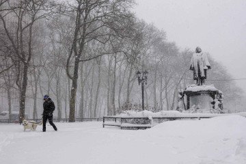 Uma pessoa passeia com um cachorro em um parque coberto de neve no bairro do Brooklyn, em Nova York, em 23 de fevereiro de 2026 - (crédito: AFP) Uma pessoa passeia com um cachorro em um parque coberto de neve no bairro do Brooklyn, em Nova York, em 23 de fevereiro de 2026 - (crédito: AFP)