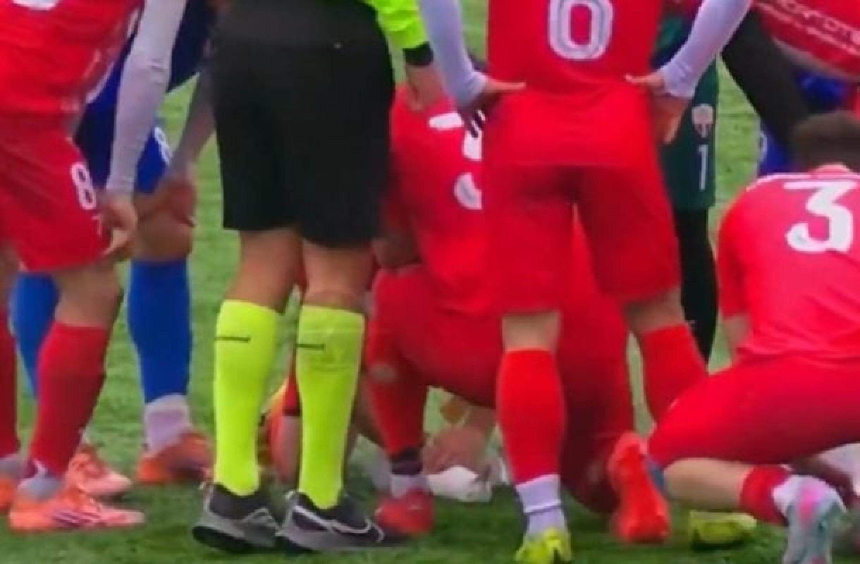 Jogador do Istambul Yurdum prestou primeiros socorros a uma gaivota atingida por uma bolada - (crédito: Reprodução de Vídeo) Jogador do Istambul Yurdum prestou primeiros socorros a uma gaivota atingida por uma bolada - (crédito: Reprodução de Vídeo)