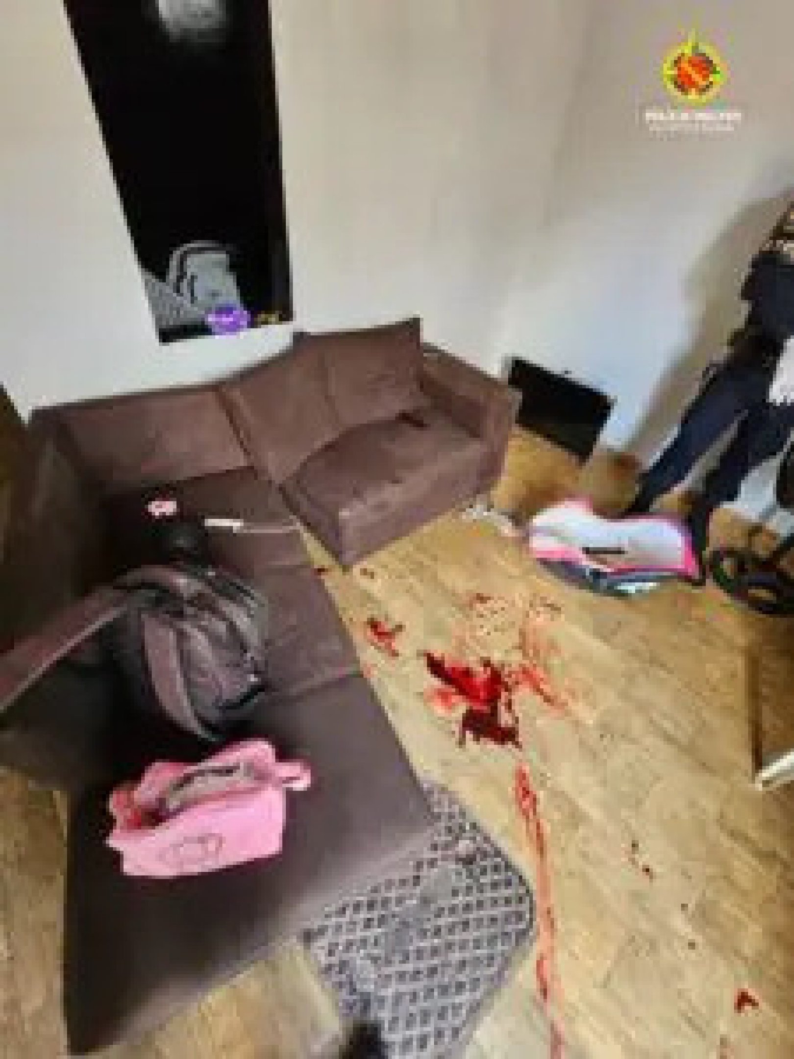 Homem é preso por tentativa de feminicídio em São Sebastião neste domingo