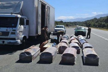 Carga está avaliada em cerca de R$ 247 mil - (crédito: Reprodução/Redes sociais) Carga está avaliada em cerca de R$ 247 mil - (crédito: Reprodução/Redes sociais)