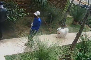 Criminosos se passaram por vidraceiros para cometer o roubo -  (crédito: PCDF/Divulgação)