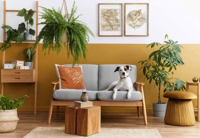 Algumas plantas podem ser perigosas para cães e gatos (Imagem: Followtheflow | Shutterstock) -  (crédito: EdiCase) -Algumas plantas podem ser perigosas para cães e gatos (Imagem: Followtheflow | Shutterstock) -  (crédito: EdiCase)