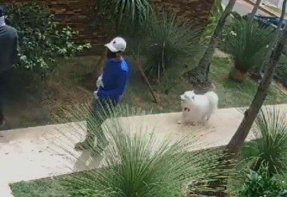 Criminosos se passaram por vidraceiros para cometer o roubo -  (crédito: PCDF/Divulgação) -Criminosos se passaram por vidraceiros para cometer o roubo -  (crédito: PCDF/Divulgação)