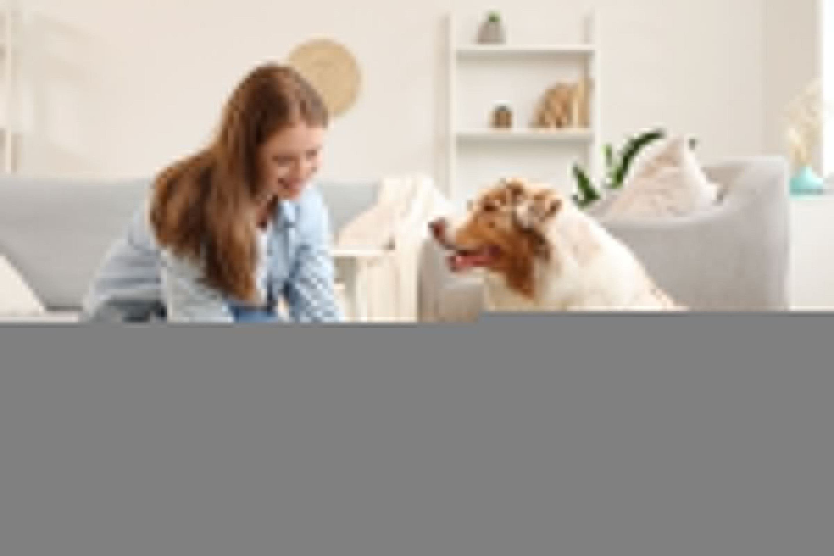 Alimentação animal: como adaptar a dieta em cada fase da vida do pet