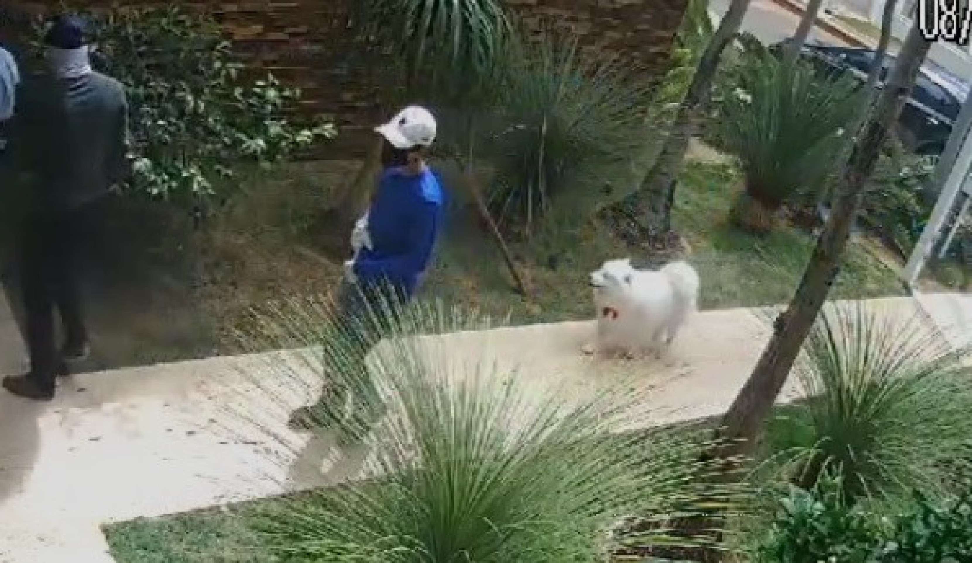 Acusados de roubar R$ 1 mi em mansão após se passarem por vidraceiros são presos