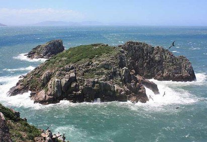 <p>Localizado a cerca de 8 km da costa de Florianópolis, em Santa Catarina, no sul do Brasil,  o pequeno arquipélago rochoso de Moleques do Sul abriga um dos maiores tesouros da biodiversidade nacional.</p>
 -  (crédito:  André Ganzarolli Martins/Wikimédia Commons) -<p>Localizado a cerca de 8 km da costa de Florianópolis, em Santa Catarina, no sul do Brasil,  o pequeno arquipélago rochoso de Moleques do Sul abriga um dos maiores tesouros da biodiversidade nacional.</p>
 -  (crédito:  André Ganzarolli Martins/Wikimédia Commons)