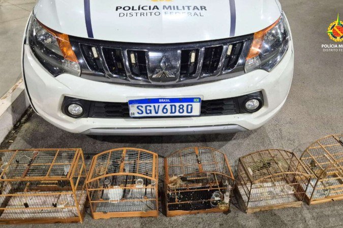 Cinco aves silvestres forma encontradas na casa, que tamb&eacute;m servia como ponto de venda de drogas