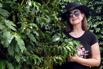 A relação de Núcia com a cultura começou há mais de 10 anos. Hoje, ela planta, beneficia e comercializa a bebida  -  (crédito:  Marcelo Ferreira/CB/D.A Press)