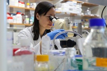 Cientistas agora trabalham em novas alternativas de tratamento para evitar obstrução do sistema de drenagem dos olhos
     -  (crédito:  Shawn Rocco/Duke Health)