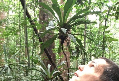 O professor Mat Disney, segurando um scanner a laser portátil, examina a floresta tropical em Sabah, Malásia. -  (crédito: Mat Disney) -O professor Mat Disney, segurando um scanner a laser portátil, examina a floresta tropical em Sabah, Malásia. -  (crédito: Mat Disney)