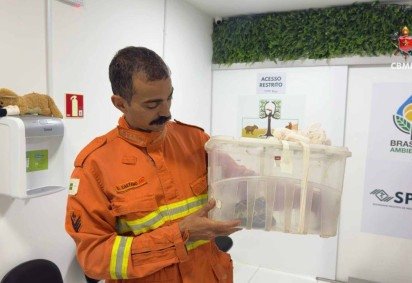 Divulgação // CBMDF -  (crédito: Bombeiro com cascavel capturada) -Divulgação // CBMDF -  (crédito: Bombeiro com cascavel capturada)