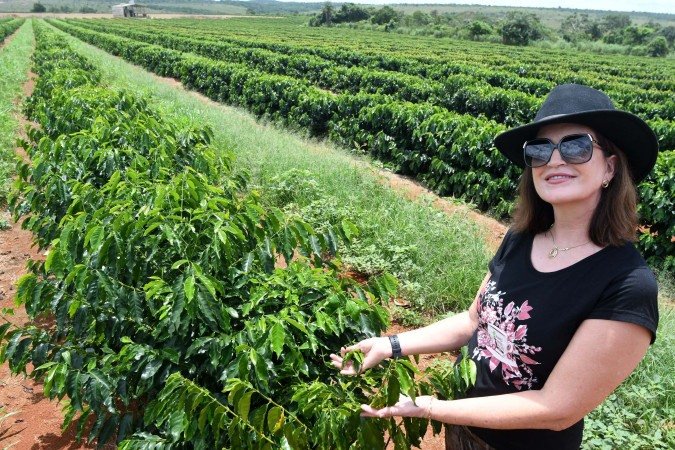  09/03/2026 Crédito: Marcelo Ferreira/CB/D.A Press. Brasil. Brasília - DF -   Fazenda Santa Rosa -  Matéria sobre a cadeia produtiva de café. Núcia Cenci, produtora de café e dona do Café Grão Nativo.